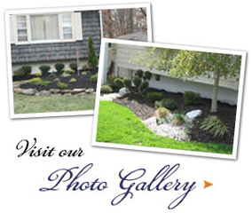 Visit our Photo Gallery