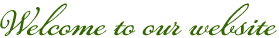 Welcome to our website